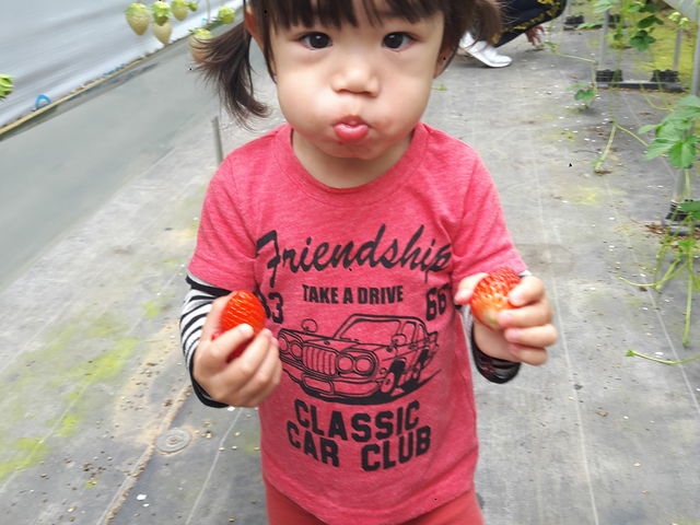 ����ɃC�`�S_���邢������