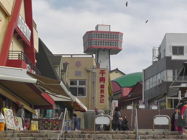 qV甄X̐ɂ܂A
yY񂪂ǂȏîCɂȂ܂A_qV^[