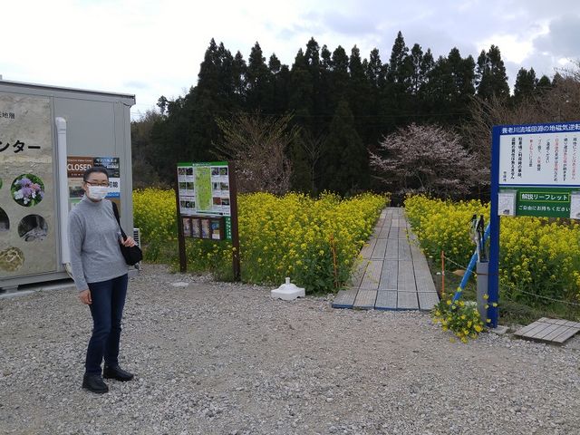 ݂̒ԏKChlEŴ߂̉݃nEXAgCȂǂĂ_`ojAint]nwj