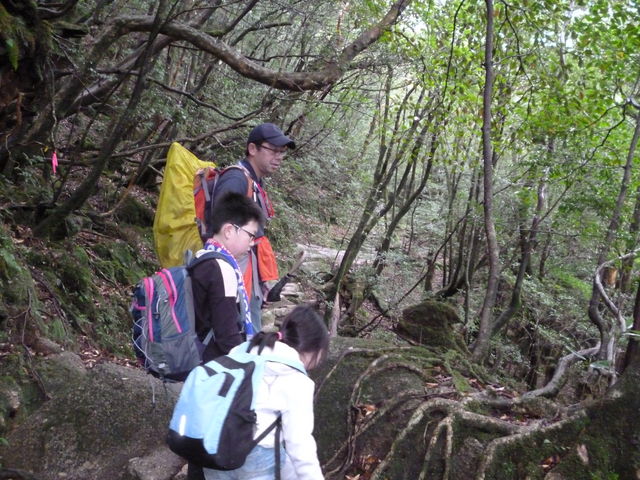 ȑۂA܂̖ڂ킩₷ĂĂƂAłB_vKChNu