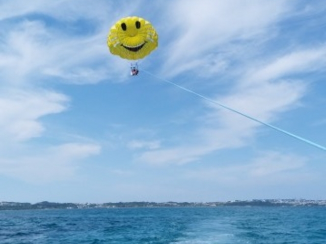 �ɂ������_�}�����A�C�����h