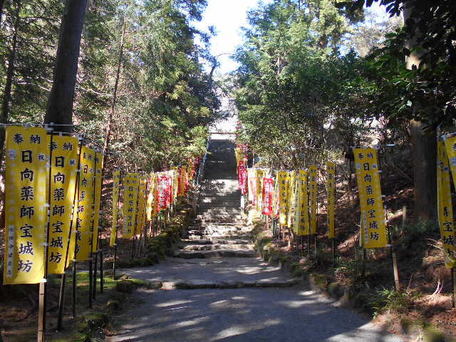 ���V������t