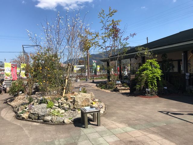 �V�΂̏t_����ߗΉԃZ���^�[