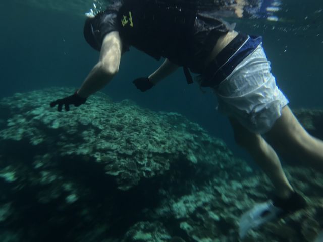 �Y��ȊC�ł����`_���牮