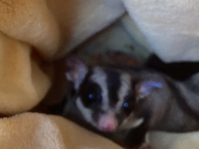 KłB_Exotic cafe MOO