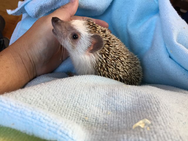 nlY~łB_Exotic cafe MOO