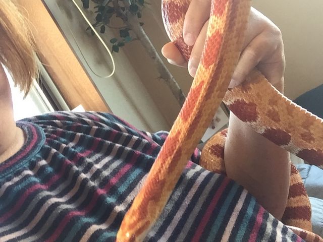 R[Xl[NłB_Exotic cafe MOO