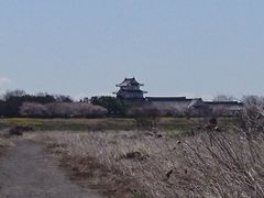 千葉県立関宿城博物館の口コミ一覧 じゃらんnet