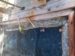 񂶂゠[̓̕􉷐OEړւ̓eʐ^1