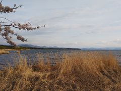 HiGHLANDERさんの猪苗代湖（福島県猪苗代町）への投稿写真1