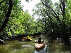 XYV[̊όlbg[Nւ̓eʐ^2