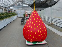 䂤񂳂̗z܂_ւ̓eʐ^1