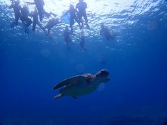 ݂邭}}̃JCU[}Nuւ̓eʐ^1