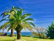 308777isa̓̉w tFjbNX̓eʐ^5