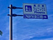 308777isa̓̉w tFjbNX̓eʐ^6