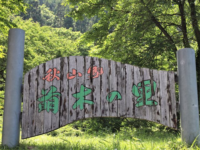 ���H���Ŕ�_�G�؂̗�