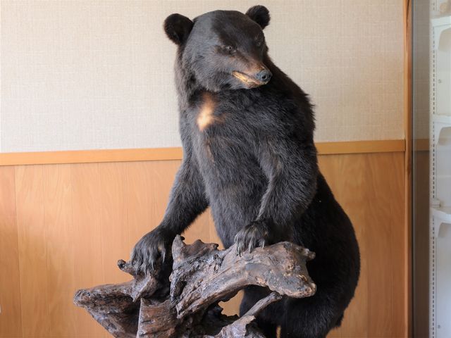 �F����_�G�؂̗�