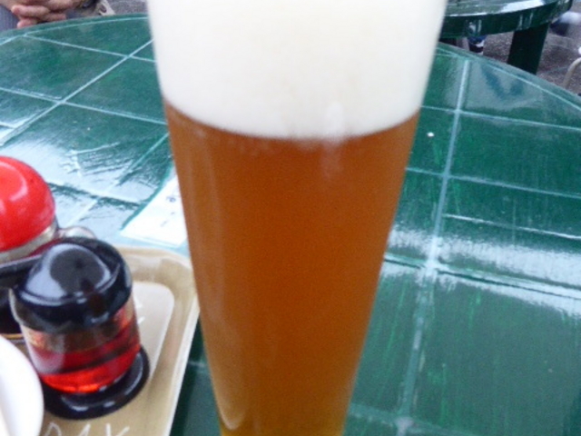 Ér[t[eB[ŃE}CI_xm{₫ΐX {