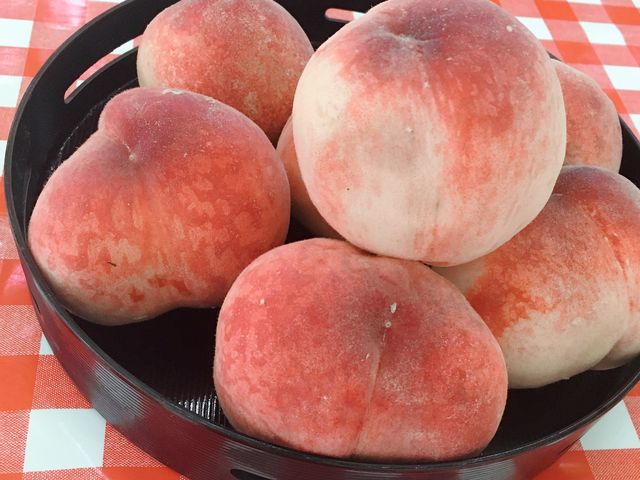 ŏɂ~7炢܂__O[vnEX