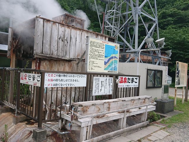 ������_���g����