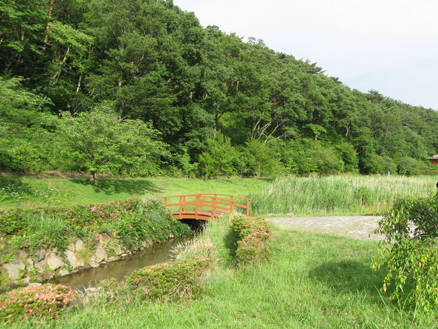 �����r�Ɨ΂��r�ɕ������Ȃ����Ă܂�_�x����