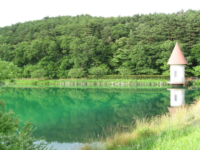 �O�p���ۂ��`���Ă܂��B�l�H�r�H_�x����