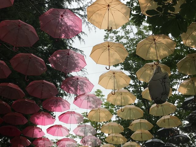 �p���\���̏���_���[�~���o���[�p�[�N