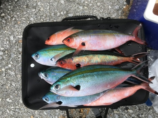 �O���N���ł��B�Y��ȋ��ł��ˁ[�B_sea-Walker