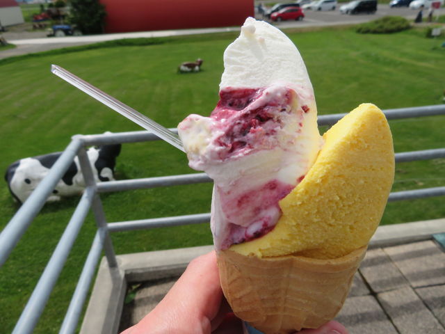 nXJbv~tB[Ƃڂ_nbslXf[B