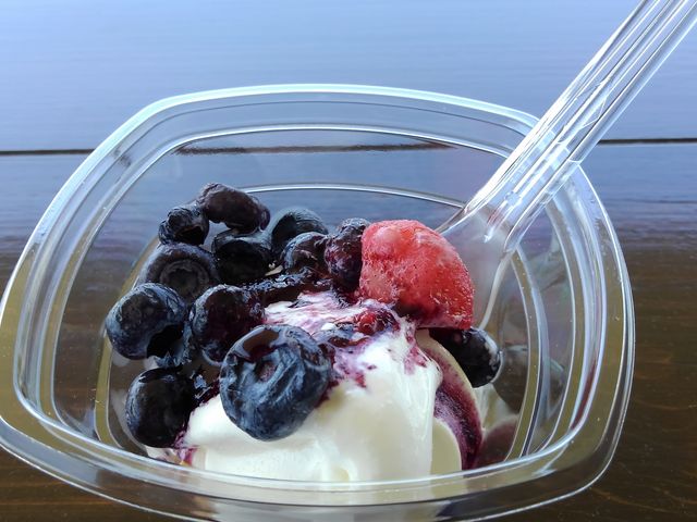 ���̌�̃\�t�g�N���[��
�����ς肵�Ĕ�����������_��]�̋u�_��