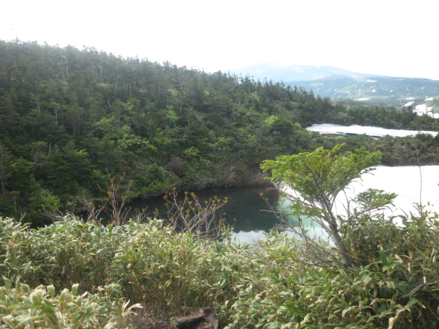 ������_������