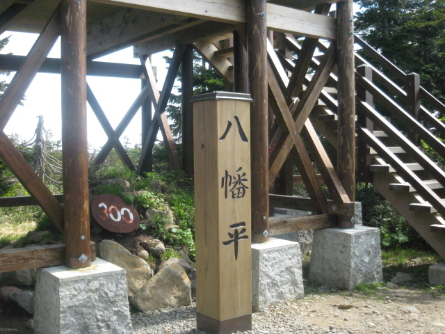 �R���̓W�]��_������