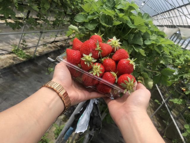 �ǂ���Â��Ĕ������������ł�
1�l��40���H�ׂ��Ⴂ�܂���(�V�ցV)
�����������܂ł����I_��t�@�[���i��-����-�j