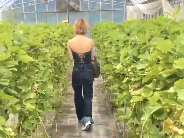 ���̎��������炩�������󂢂Ă���13������s���܂��������̎��Ԃ͑ݐ؏�ԂŃ��b�L�[�I_��t�@�[���i��-����-�j