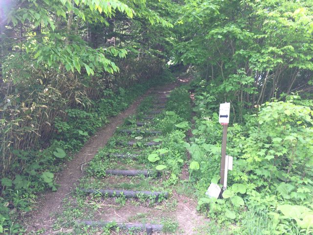 Ñ̘[BÑ܂łƂSOO[gB͐Ñɂ͍sѓŉRB_nǎR̐XV