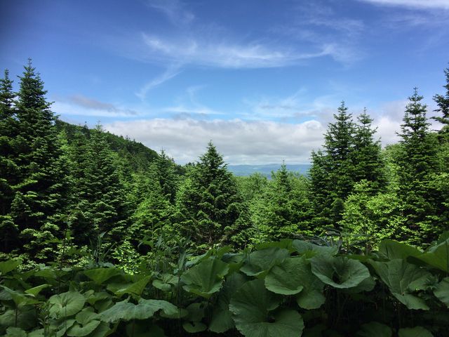 Ñ̘[AR܂ł̗ѓ猩iFB[ʂ̎RB_nǎR̐XV