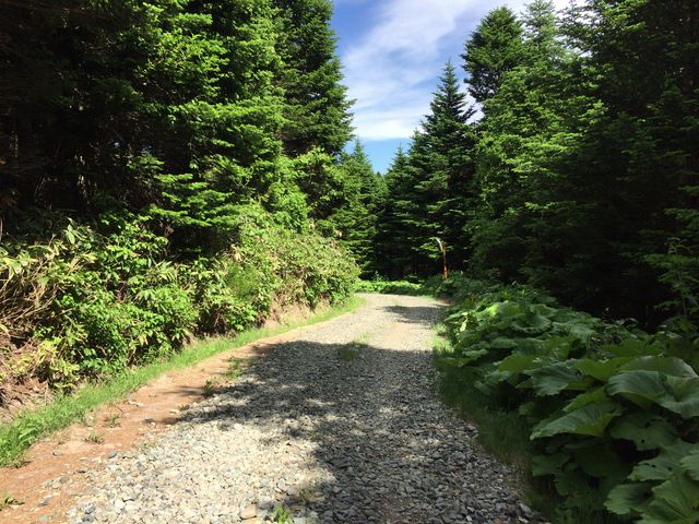 Ñ̘[AR܂ł̗ѓQlQBLĈSB̖nB_nǎR̐XV