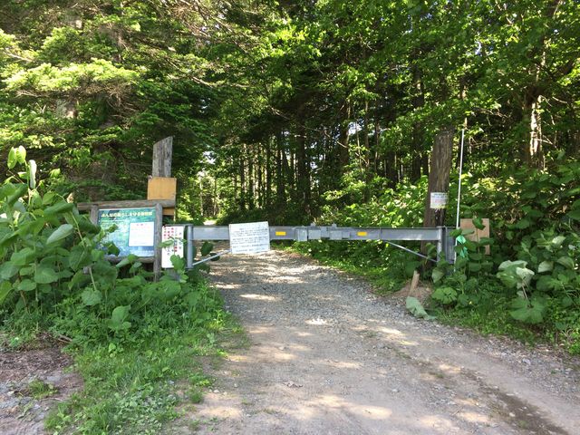 ѓoBRjoXt߁B_nǎR̐XV