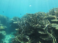 KY̏SҐXNEOMARINEΊ_ւ̓eʐ^1