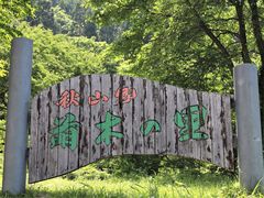 Ƃ񂳂̏HR  G؂̗ւ̓eʐ^1