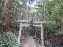 Ă̓V̊˂ւ̓eʐ^1