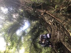 ̐\Jk[cA[̂тՂՂûՂvւ̓eʐ^1