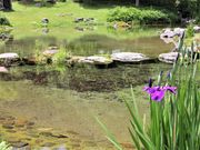 Ƃ񂳂̏HR  G؂̗̓eʐ^6