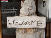 V񂳂̂܂ނ쉷 ~̓eʐ^1