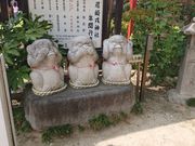 �Ă܂肳��̓�肦�т��_�Ђ̓��e�ʐ^7