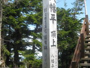 ̂䂫̔AIgh}c̓eʐ^1