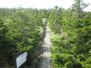 ̂䂫̔AIgh}c̓eʐ^2