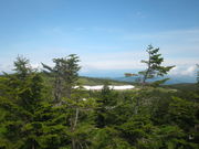 ̂䂫̔AIgh}c̓eʐ^3