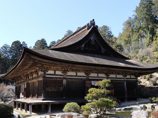 �����̏��݂��C�ɂȂ�܂��B_�P����