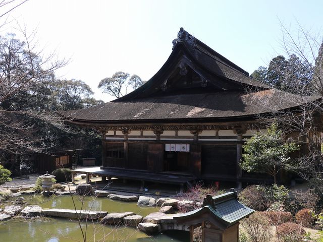 �뉀���f���炵���B_�P����